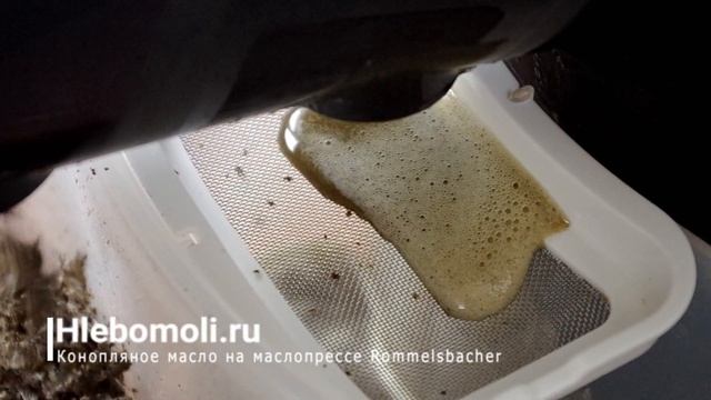 Конопляное домашнее масло на маслопрессе Rommelsbacher OP700 смотреть онлайн