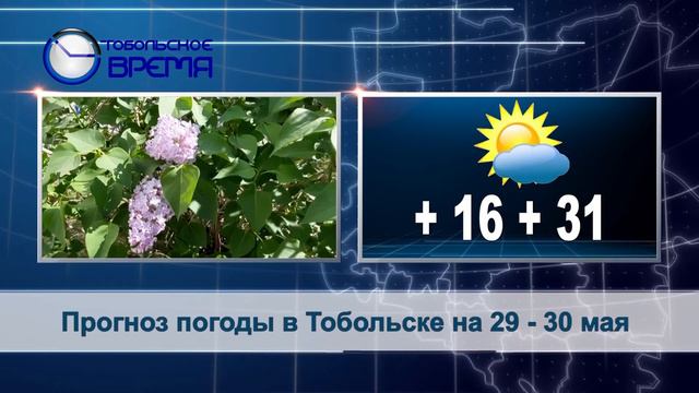 ПОГОДА на 29-30 мая смотреть онлайн