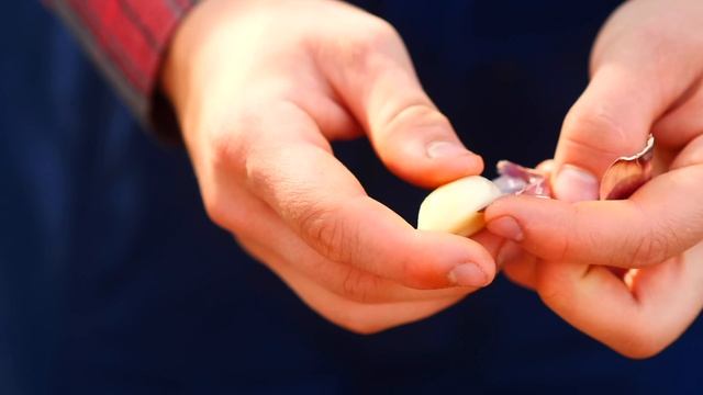 24 Часа в ДЕРЕВНЕ В ПОИСКАХ ЕДЫ смотреть онлайн