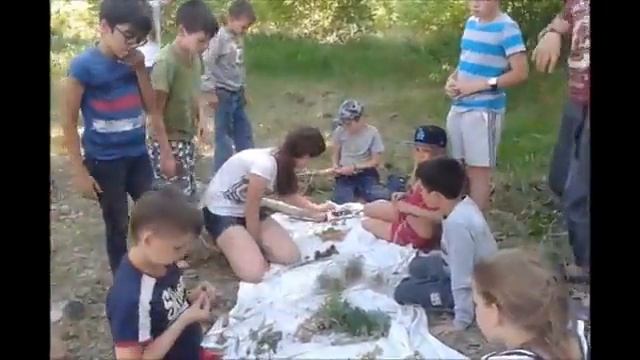 Игра "Дары леса" смотреть онлайн