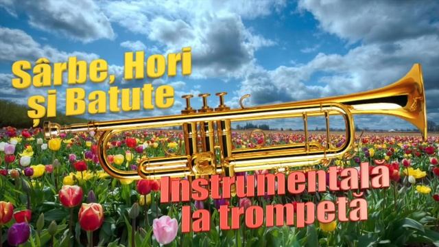 Trompeta-i Fermecata, Sarbe, Hori si Batute, Colaj 2017 смотреть онлайн