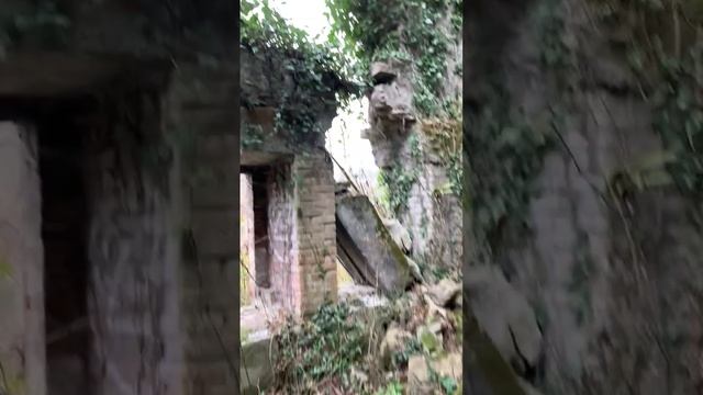 Дача адвоката Плевако. Немного истории #всочиумаши смотреть онлайн