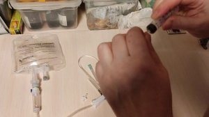 Принудительное кормление животных. Кошки. Собаки.