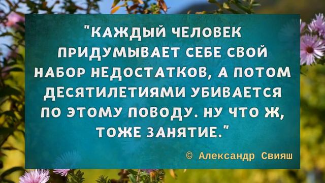 Золотые слова! Жизненные Цитаты Александра Свияша смотреть онлайн