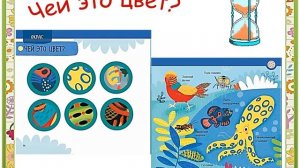 Чей это нос? Чей это хвост? Секреты мира животных.