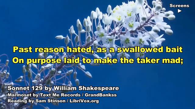 Shakespeare, Sonnet 129, Poem Video смотреть онлайн