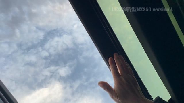 【LEXUS】新型NX250 Version L 実車レビュー【内装編】interior