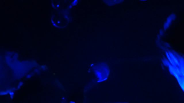 Trümmer - Schutt und Asche - Live @ Molotow, Hamburg - 04/2015 смотреть онлайн