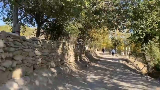 Микро-занятие. Прогулки на троих. Продолжение 2. М.С. Норбеков смотреть онлайн