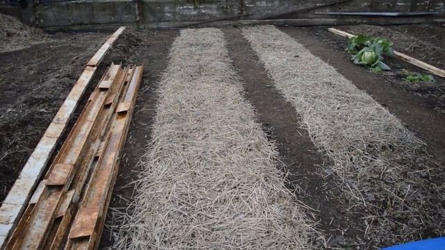 Один день из жизни/ Как готовы к зиме. смотреть онлайн