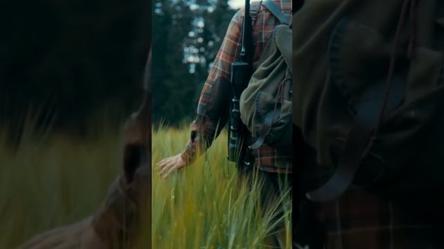 Амурский Уссурийский Тигр в Красной книге ?? смотреть онлайн