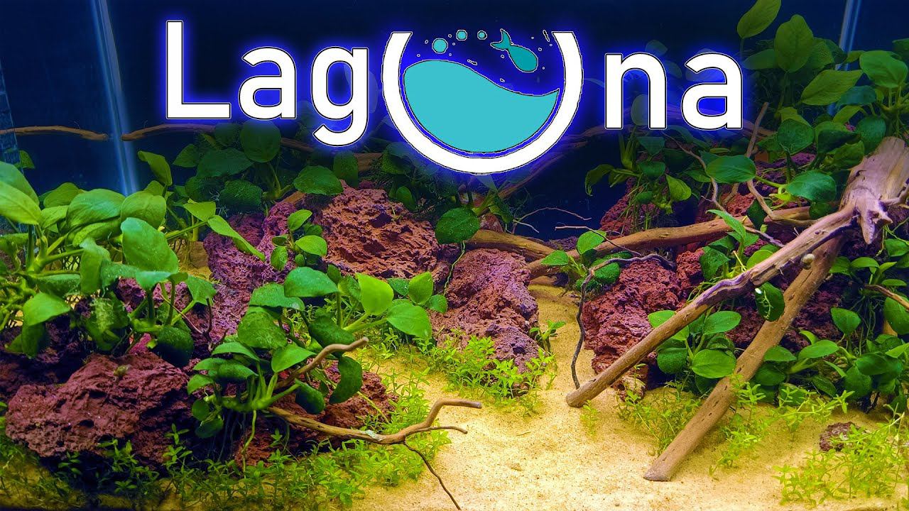 Новинки от Laguna для аквариума травника и акваскейпа смотреть онлайн