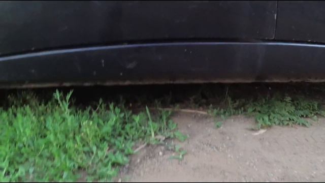 ТОТ САМЫЙ БАТЯ ИЗ BRAZZERS ???