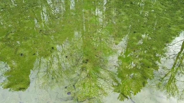 Источник Серафима Саровского. Ченнелинг и послание от Серафима смотреть онлайн