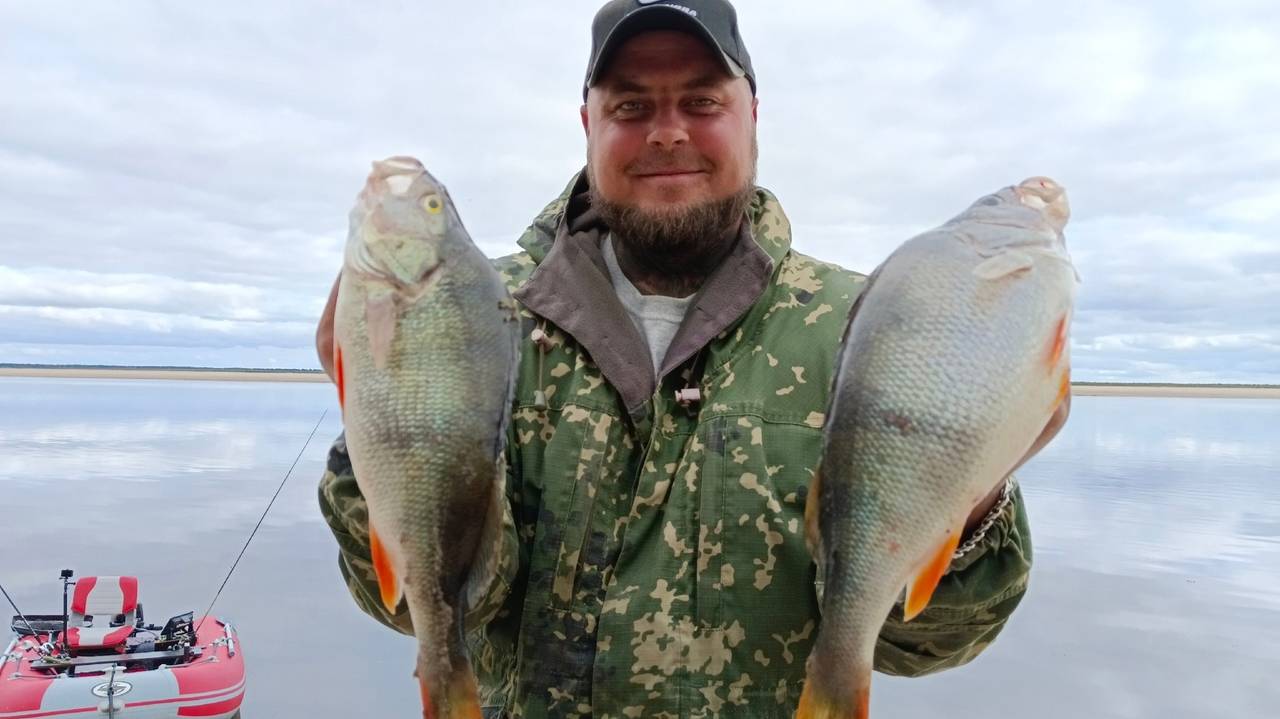 ПЯТЫЕ СУТКИ ЖИВЁМ В ПАЛАТКЕ НА БЕРЕГУ РЕКИ! ПОШЛА ЗАГОТОВКА РЫБЫ ПОЛНЫМ ХОДОМ \ МЕШОК ОКУНЯ НА СТУК! смотреть онлайн