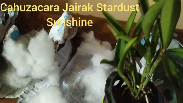 Посылка с орхидеями смотреть онлайн