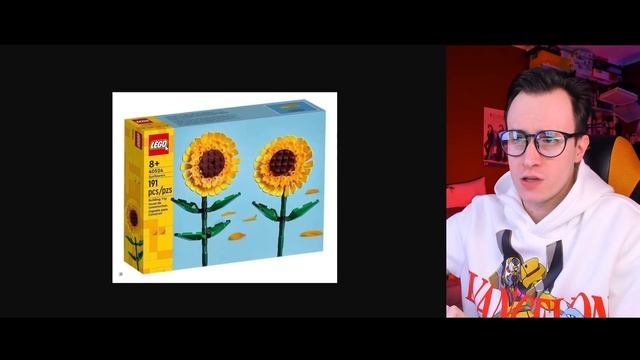LEGO Minecraft и Креатор 2022 - БЕЗУМНАЯ КРУТОТА ТИГРА смотреть онлайн