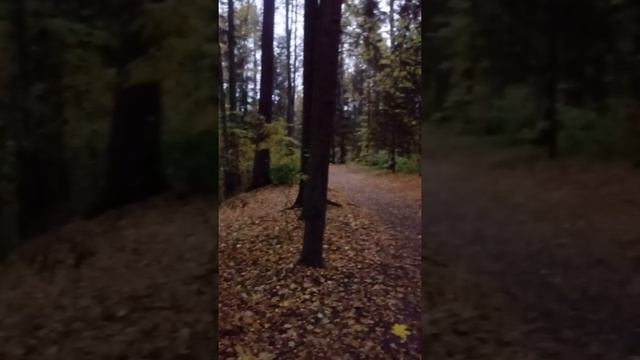 2 часть. Павловский парк смотреть онлайн