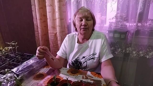 КАК ВАЖНО НЕ ПОТЕРЯТЬ ДРУГ ДРУГА. ТОНКОСТИ ВЫРАЩИВАНИЯ РАССАДЫ БАКЛАЖАНОВ смотреть онлайн