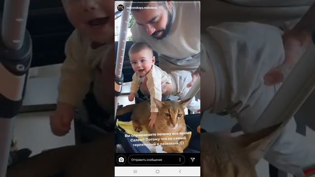 Решетова: фото груди и видео - сын, Тимати, коты смотреть онлайн