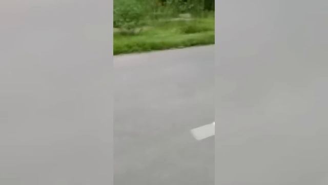 25 Самых Везучих Людей, Заснятых На Камеру! смотреть онлайн