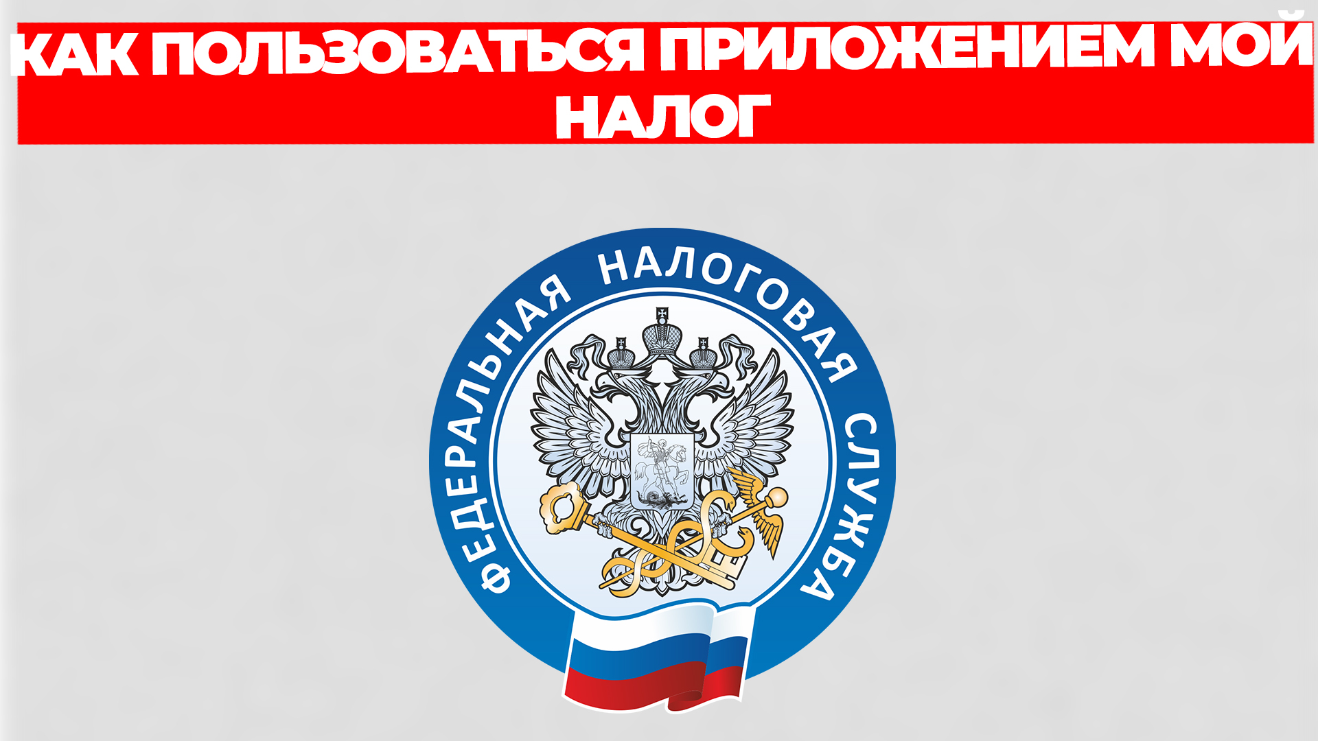 Всезнающий Енот