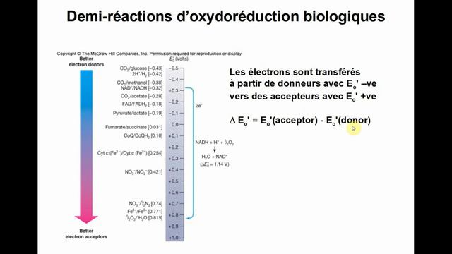 Microbio L2 CM6 2020 смотреть онлайн