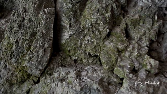 Пещера «Чёртовы ворота» в Дальнегорске, стоянка человека неолитического времени смотреть онлайн