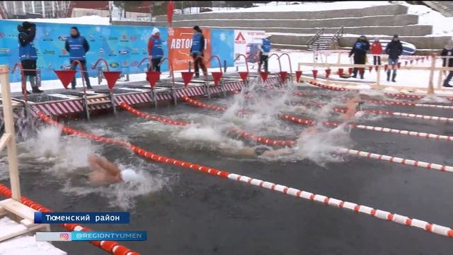 Кубок по зимнему плаванию завершился в Тюмени смотреть онлайн