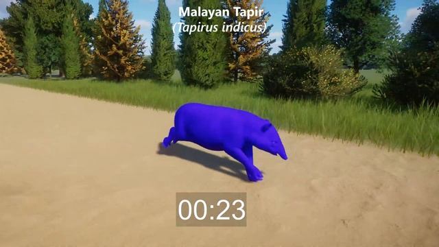 Colored Endangered Animals Races in Planet Zoo included Leopard, Elephant, Giraffe, Tapir & etc смотреть онлайн