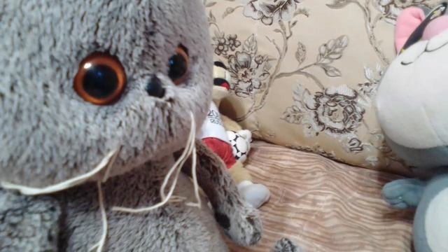 Январское видео с Томом и Басиком