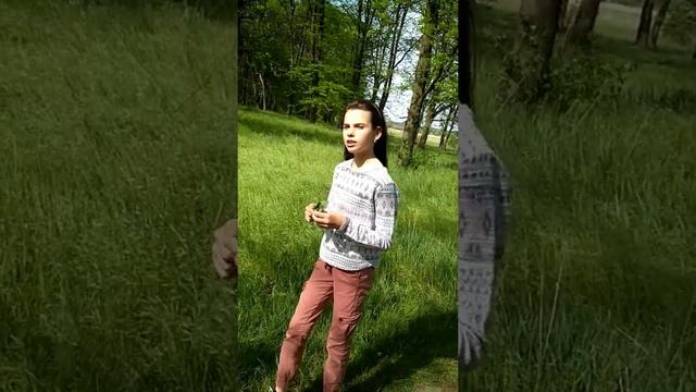 Какие травы можно давать хомячку, как лакомства! смотреть онлайн