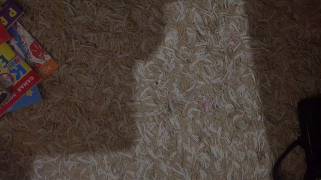 Что я беру на дачу смотреть онлайн