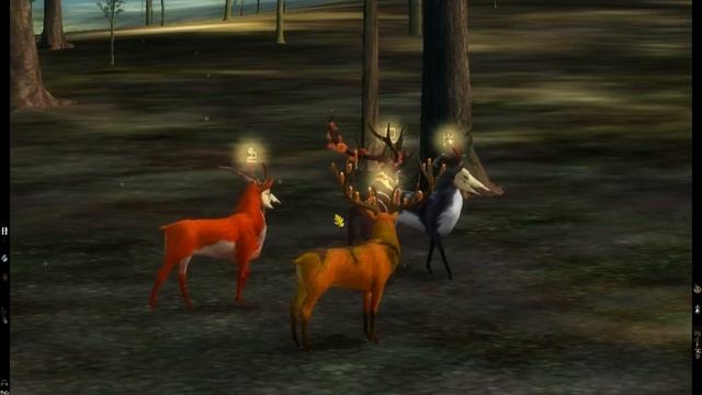 Endless Forest Basics