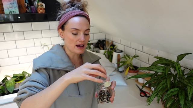 Rearranging, Cleaning + Rehabbing My Plants 🌿 Houseplant Chores and Organisation смотреть онлайн