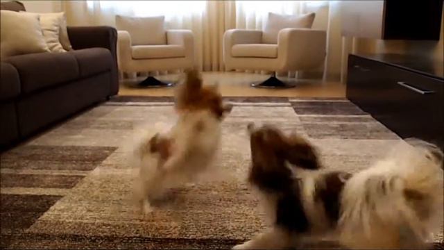 Веселые ребята смотреть онлайн