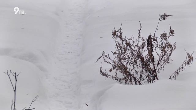 Парковки на месте снесенных домов смотреть онлайн