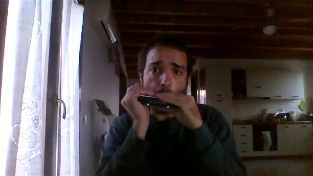 Hallelujah - Leonard Cohen - Harmonica смотреть онлайн