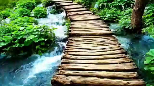 MV - это не девочка это беда смотреть онлайн