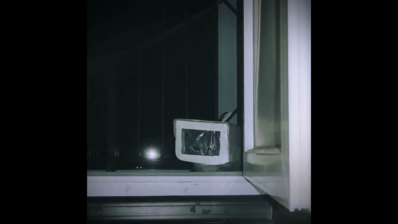 Camera cat. i watch in you смотреть онлайн