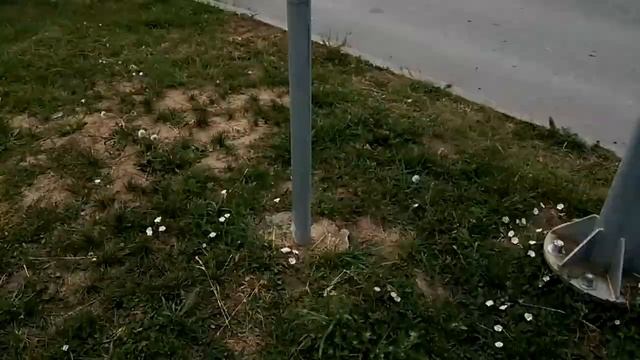 Пешеходный переход. Разметка, знак и светофор, все правильно установлено и размечено? смотреть онлайн