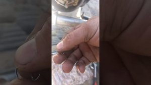 причина звона в цилиндре иж юпитер 5