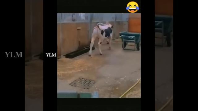 ??????? ?? ??????????#? ?????? & ???-?????? ??????. смотреть онлайн