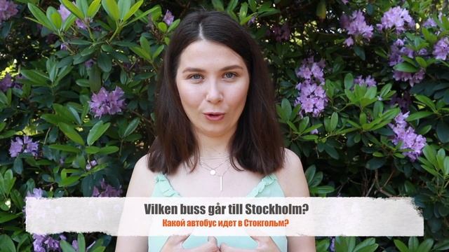 Разговорный шведский: Турист смотреть онлайн