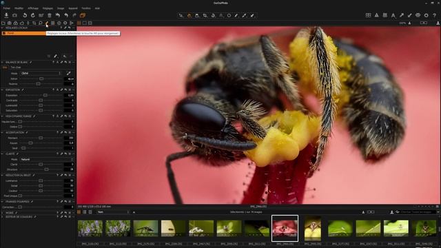 J’ai survolé un logiciel – Capture One смотреть онлайн