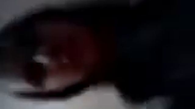 без челки.3gp смотреть онлайн