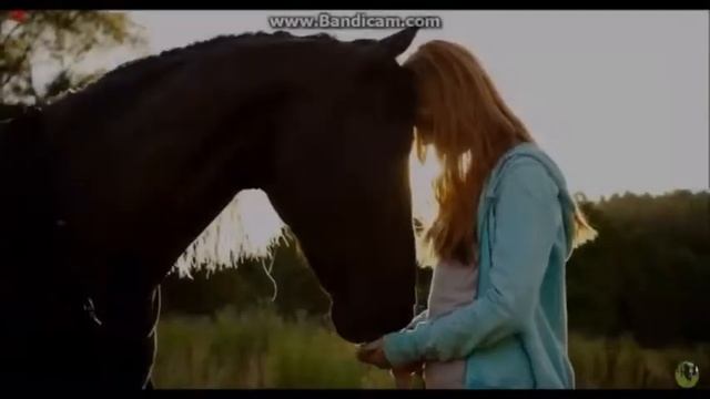 Ostwind | Windstorm | Video / Edit ♥️ смотреть онлайн