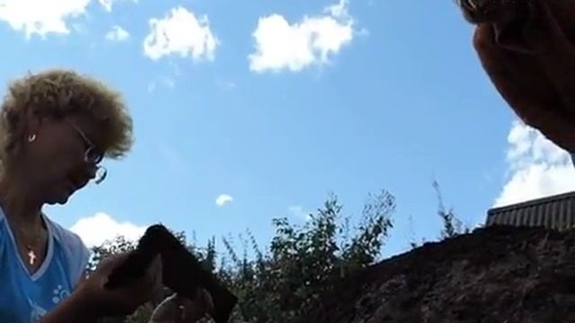 Несколько удивительных находок сделали археологи в Вологодской области смотреть онлайн