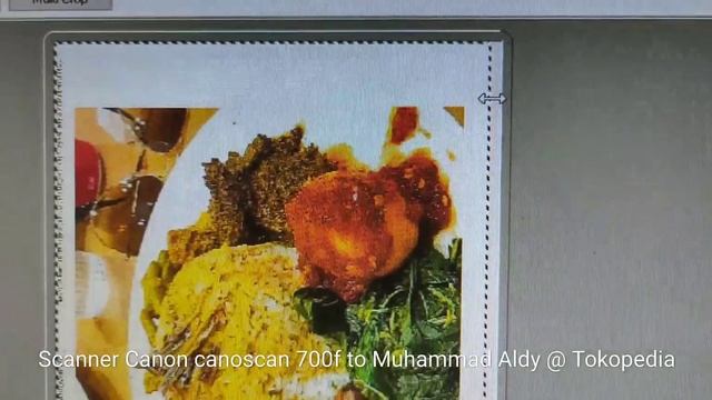 SCANNER CANON CANOSCAN LIDE 700F смотреть онлайн