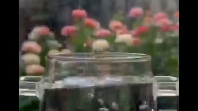 Биз Кундо жейбиз бул куртту Билип алда экинчи жебе КАРМИН деген ушул смотреть онлайн